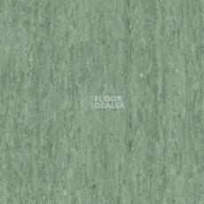 Линолеум Tarkett iq Optima Dark Green 0252 фото 1 | FLOORDEALER